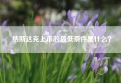 纳斯达克上市的最低条件是什么？