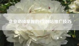 企业必须掌握的9个网站推广技巧