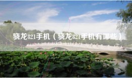 骁龙821手机（骁龙821手机有哪些）