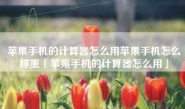 苹果手机的计算器怎么用苹果手机怎么称重「苹果手机的计算器怎么用」
