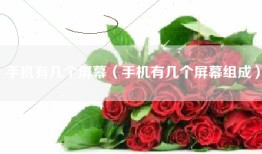手机有几个屏幕（手机有几个屏幕组成）