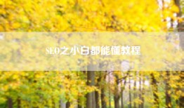 SEO之小白都能懂教程