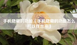 手机隐藏的功能（手机隐藏的功能怎么可以找出来）