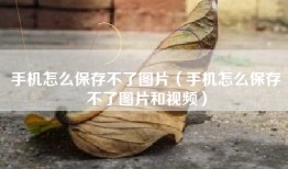 手机怎么保存不了图片（手机怎么保存不了图片和视频）