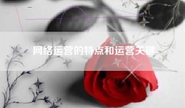 网络运营的特点和运营关键