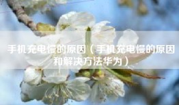 手机充电慢的原因（手机充电慢的原因和解决方法华为）