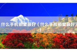 什么手机销量最好（什么手机销量最好？）