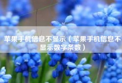 苹果手机信息不显示（苹果手机信息不显示数字条数）