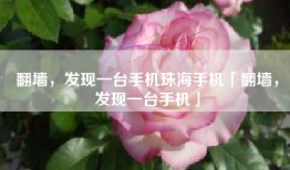 翻墙，发现一台手机珠海手机「翻墙，发现一台手机」
