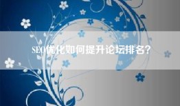 SEO优化如何提升论坛排名？