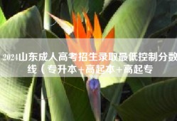 2024山东成人高考招生录取最低控制分数线（专升本+高起本+高起专