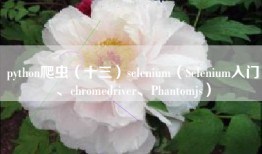 python爬虫（十三）selenium（Selenium入门、chromedriver、Phantomjs）