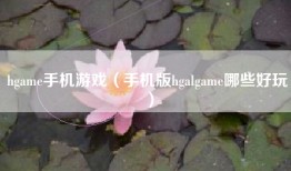 hgame手机游戏（手机版hgalgame哪些好玩）