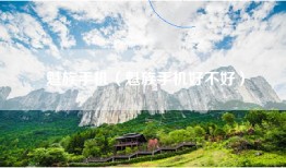 魁族手机（魁族手机好不好）