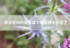 非常实用的骨灰盒下葬流程全在这了