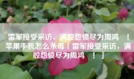 雷军接受采访，满腔怨愤尽为周鸿祎！苹果手机怎么杀毒「雷军接受采访，满腔怨愤尽为周鸿祎！」