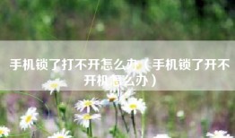 手机锁了打不开怎么办（手机锁了开不开机怎么办）