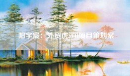 阳宇宸：外贸虎SEO项目策划案