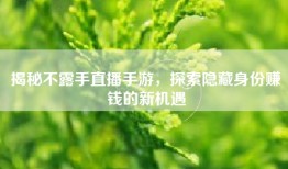 揭秘不露手直播手游，探索隐藏身份赚钱的新机遇