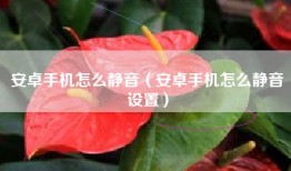 安卓手机怎么静音（安卓手机怎么静音设置）