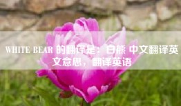 WHITE BEAR 的翻译是：白熊 中文翻译英文意思，翻译英语
