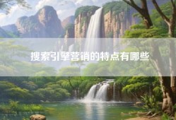 搜索引擎营销的特点有哪些