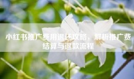 小红书推广费用退还攻略，解析推广费结算与退款流程