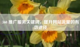360 推广服务关键词，提升网站流量的有效途径