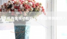 手机有夜视功能吗（手机自带夜视仪）