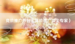 竞价推广外包（竞价推广顶尖专家）