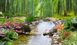 云南旅行必备清单：一站式打包攻略，轻松应对高原风情和多元文化