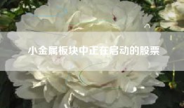 小金属板块中正在启动的股票