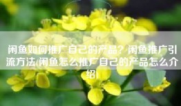 闲鱼如何推广自己的产品？闲鱼推广引流方法(闲鱼怎么推广自己的产品怎么介绍)