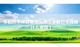 手机打不开屏幕怎么办（手机打不开屏什么原因）