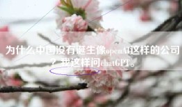 为什么中国没有诞生像openAI这样的公司？我这样问chatGPT。