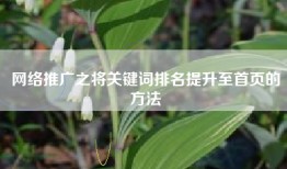 网络推广之将关键词排名提升至首页的方法