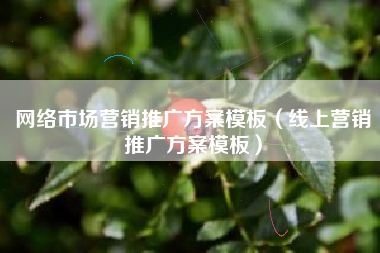 网络市场营销推广方案模板（线上营销推广方案模板）