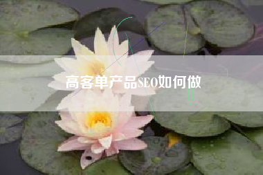 高客单产品SEO如何做