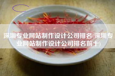 深圳专业网站制作设计公司排名(深圳专业网站制作设计公司排名前十)