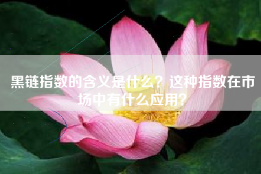 黑链指数的含义是什么？这种指数在市场中有什么应用？