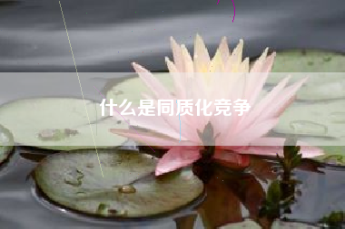 什么是同质化竞争