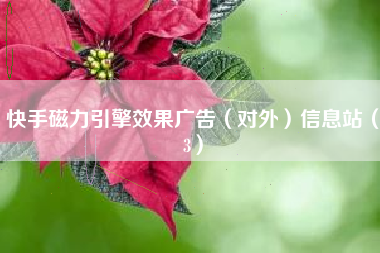 快手磁力引擎效果广告（对外）信息站（3）