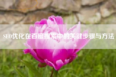 SEO优化在百度搜索中的关键步骤与方法