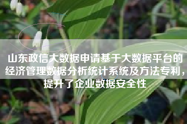 山东政信大数据申请基于大数据平台的经济管理数据分析统计系统及方法专利，提升了企业数据安全性