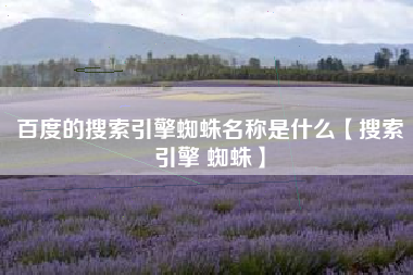 百度的搜索引擎蜘蛛名称是什么【搜索引擎 蜘蛛】