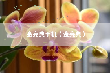 金亮典手机（金亮典）