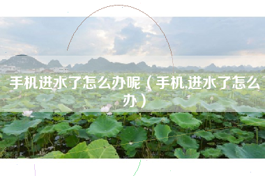 手机进水了怎么办呢（手机,进水了怎么办）