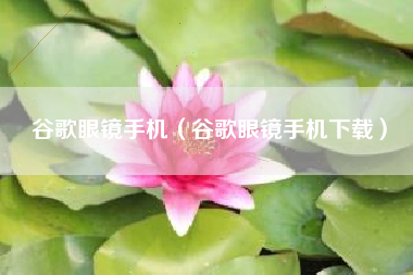 谷歌眼镜手机（谷歌眼镜手机下载）