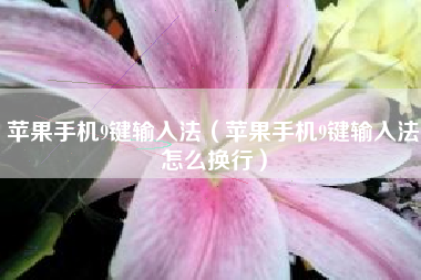 苹果手机9键输入法（苹果手机9键输入法怎么换行）