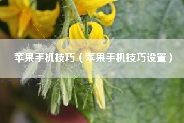 苹果手机技巧（苹果手机技巧设置）